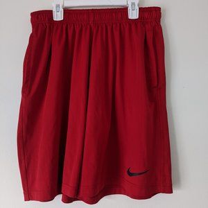 Men's Nike Dri-fit shorts